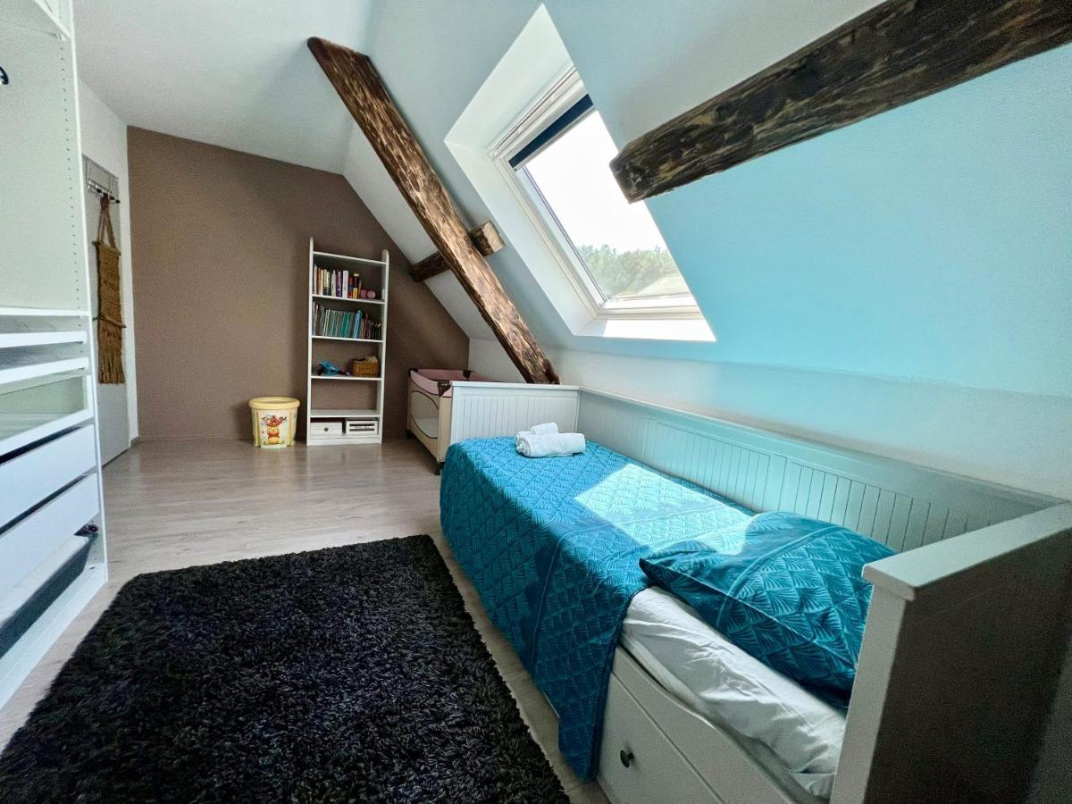 Superbe Appartement Duplex A Kaysersberg En Alsace 外观 照片